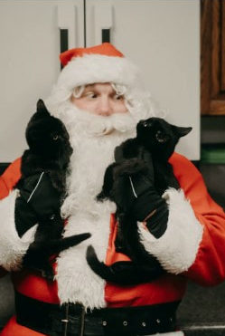 image of santa with cats