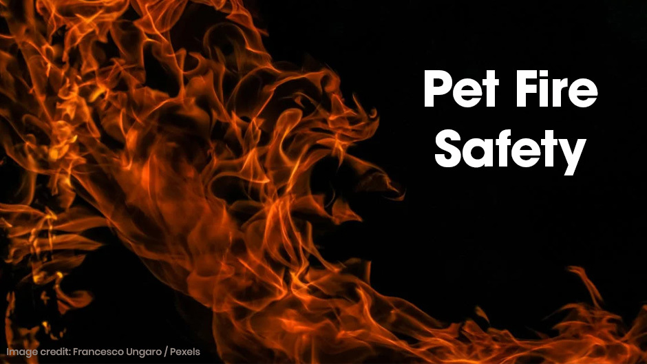 Pet-Fire-Safety