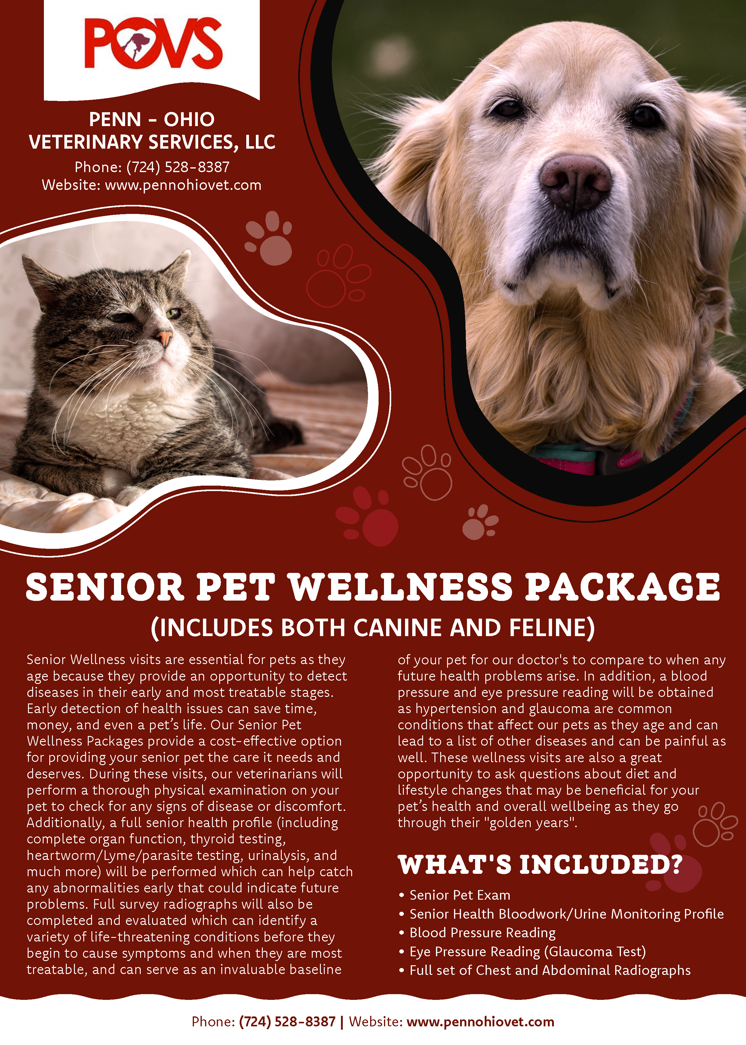 Wellness Packages for Senior Pets