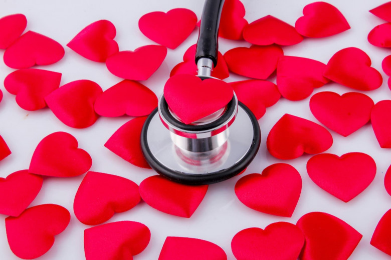 Quiet Heroes Behind Healthy Pets: Veterinary Technicians!